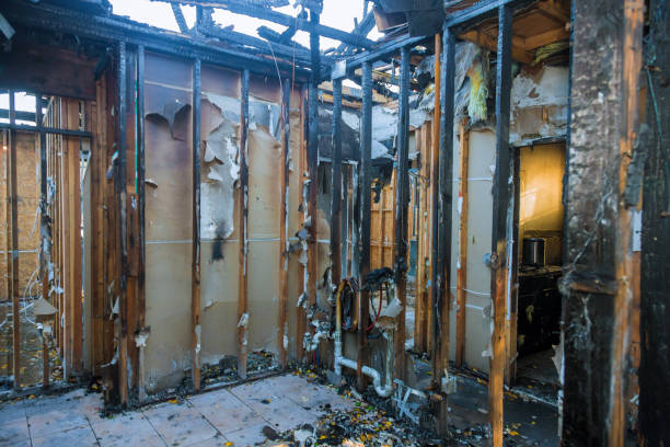 Professional Emergency Fire Cleanup technician working in Berwyn Heights, MD